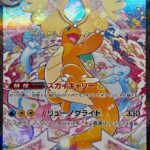(246/193) MEGA DRAGONITE EX